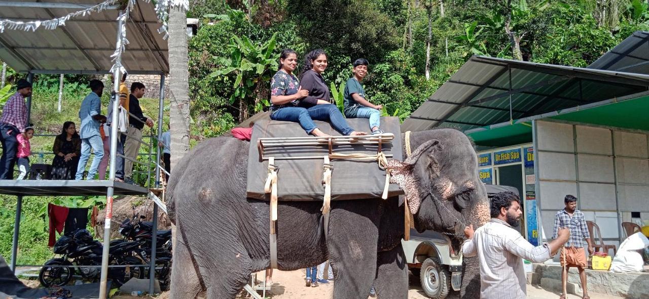 Maliyeckal Homestay Munnar Bagian luar foto