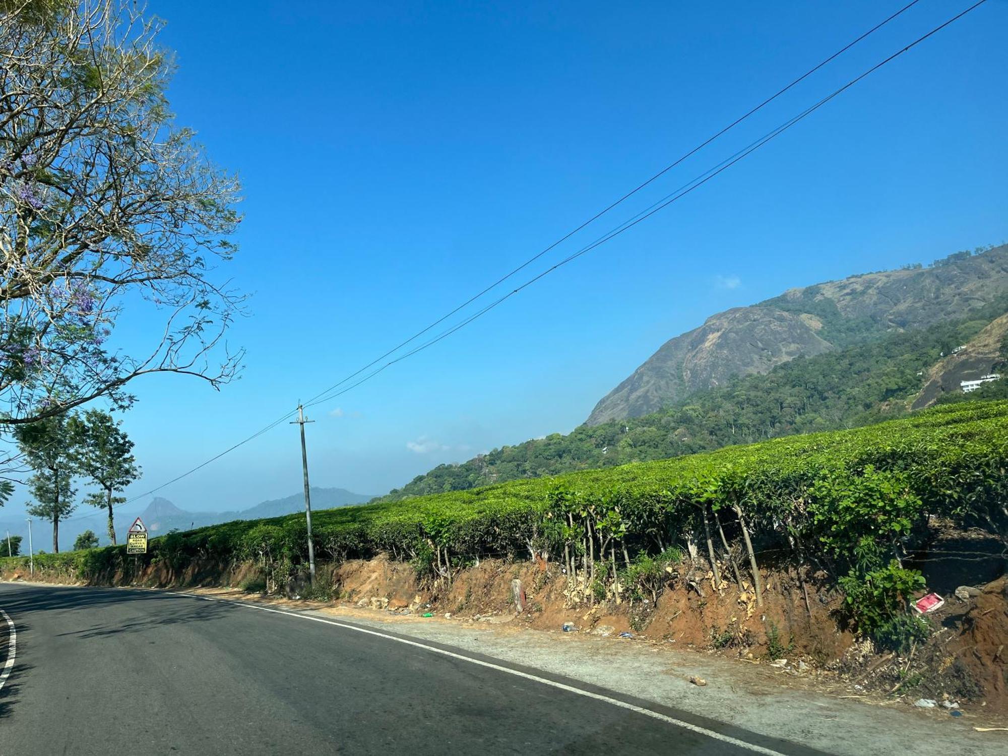 Maliyeckal Homestay Munnar Bagian luar foto