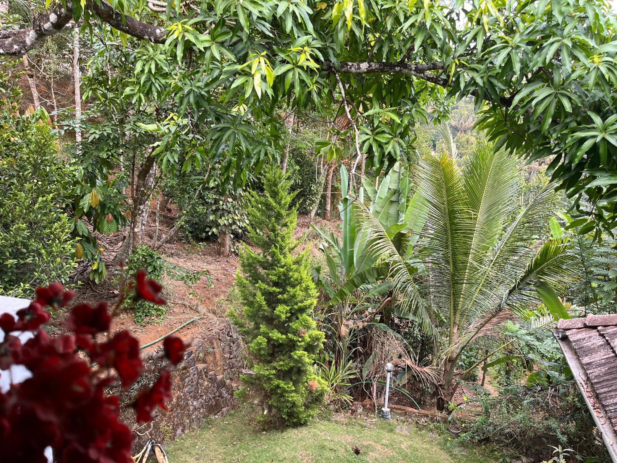 Maliyeckal Homestay Munnar Bagian luar foto